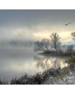 JEZERO POZIMI