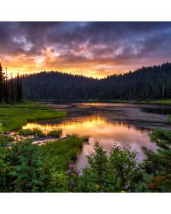 JEZERO GOZD
