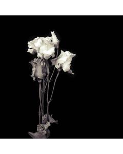 VRTNICE