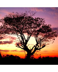 SONČNI ZAHOD